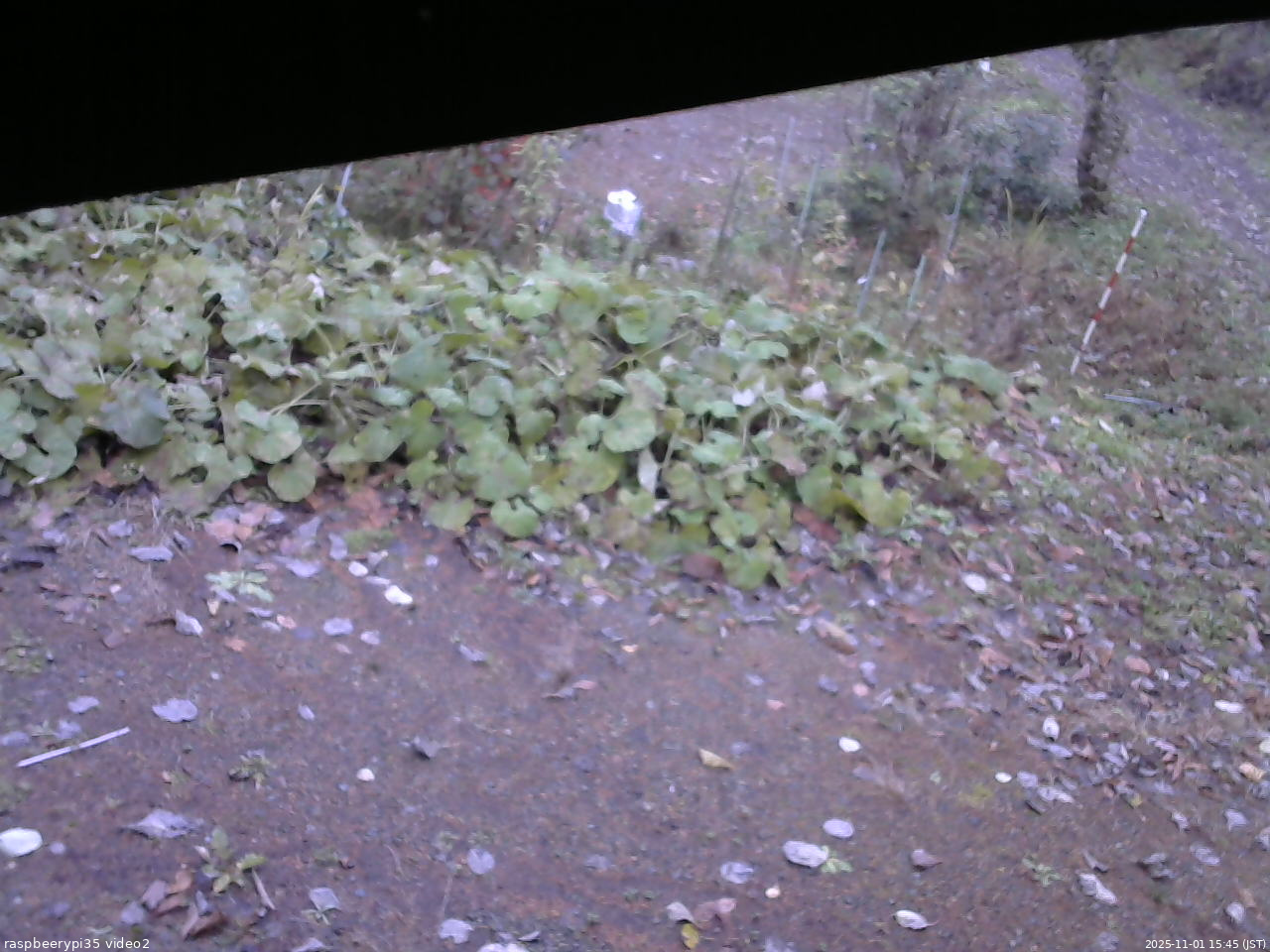 長野県菅平高原 ゆたか山荘 駐車場 2025/11/01 15:45