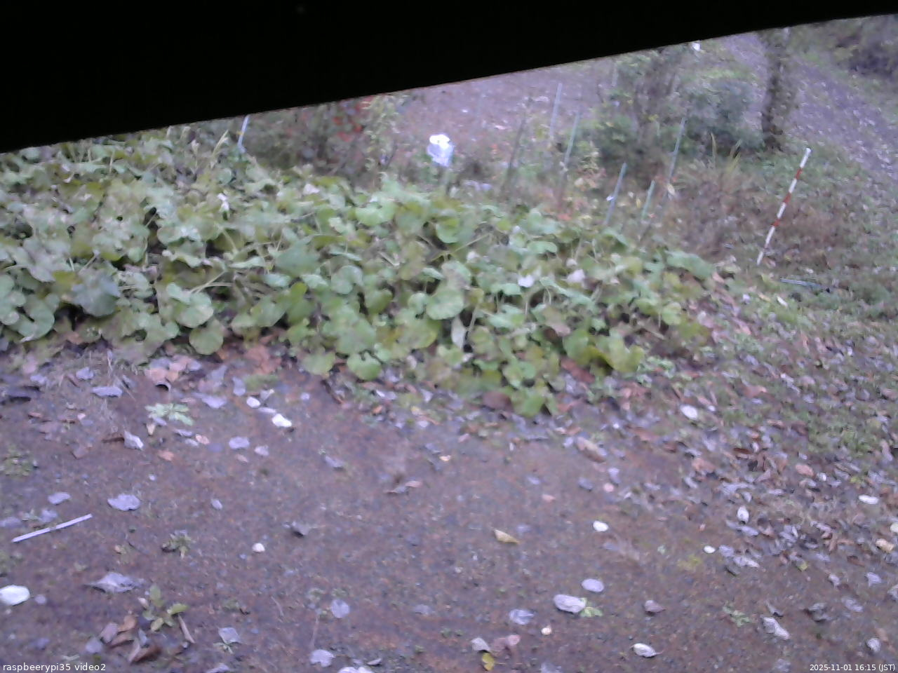 長野県菅平高原 ゆたか山荘 駐車場 2025/11/01 16:15