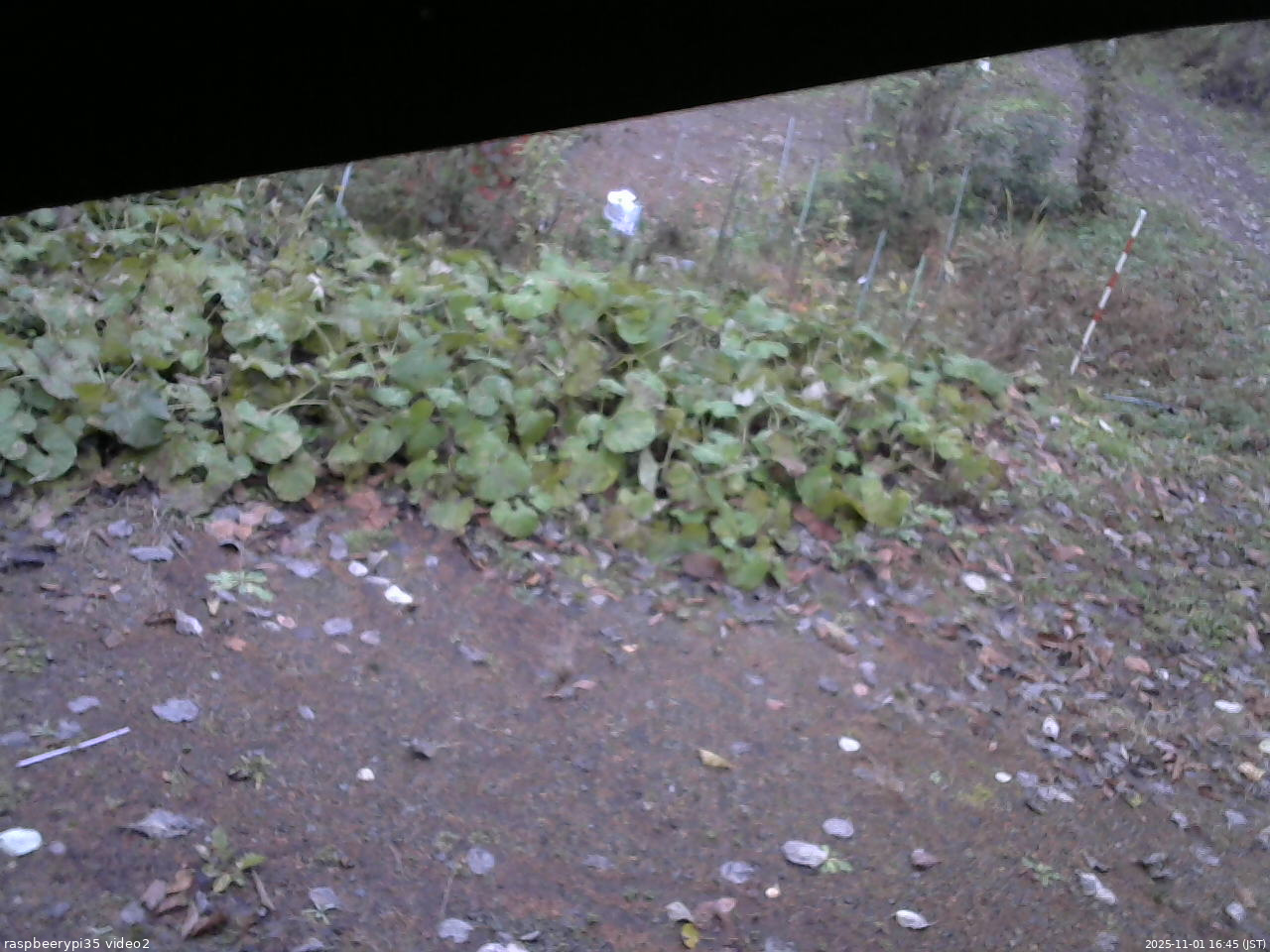 長野県菅平高原 ゆたか山荘 駐車場 2025/11/01 16:45