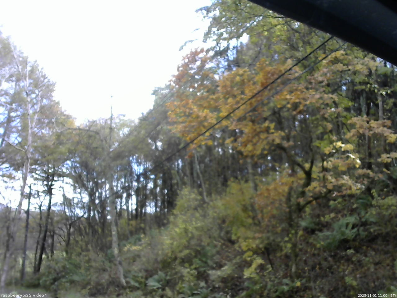 長野県菅平高原 ゆたか山荘 東側上空 2025/11/01 11:00
