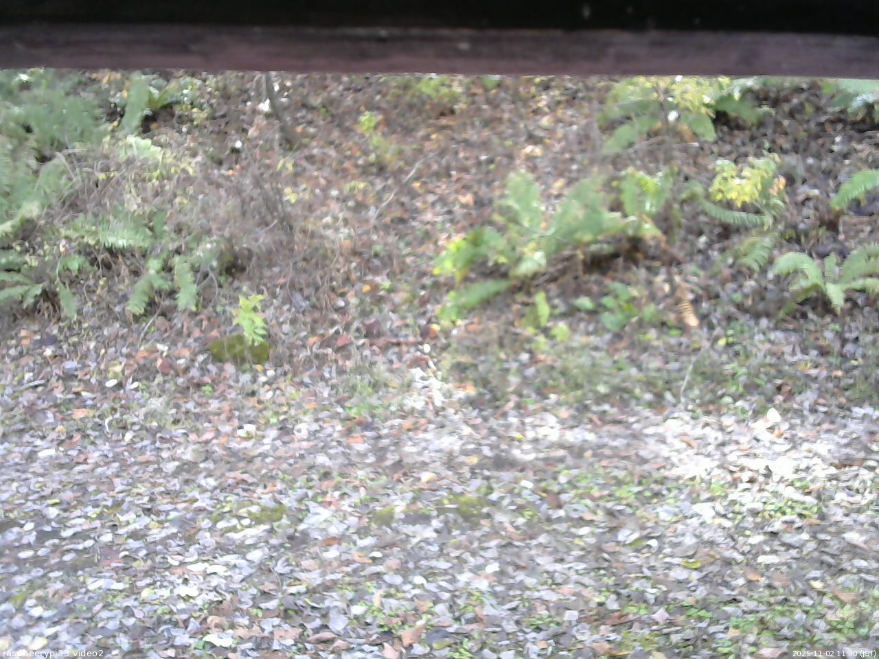 長野県菅平高原 ゆたか山荘 南側 2025/11/02 11:30