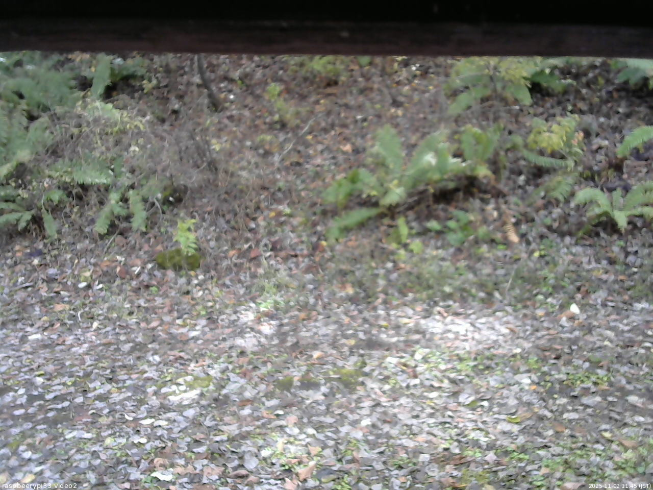長野県菅平高原 ゆたか山荘 南側 2025/11/02 11:45