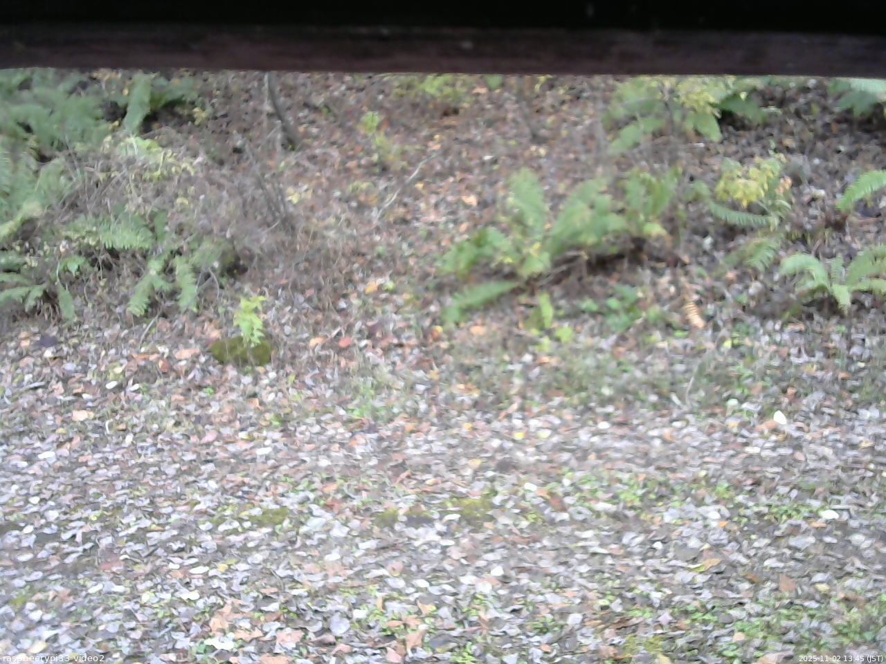 長野県菅平高原 ゆたか山荘 南側 2025/11/02 13:45
