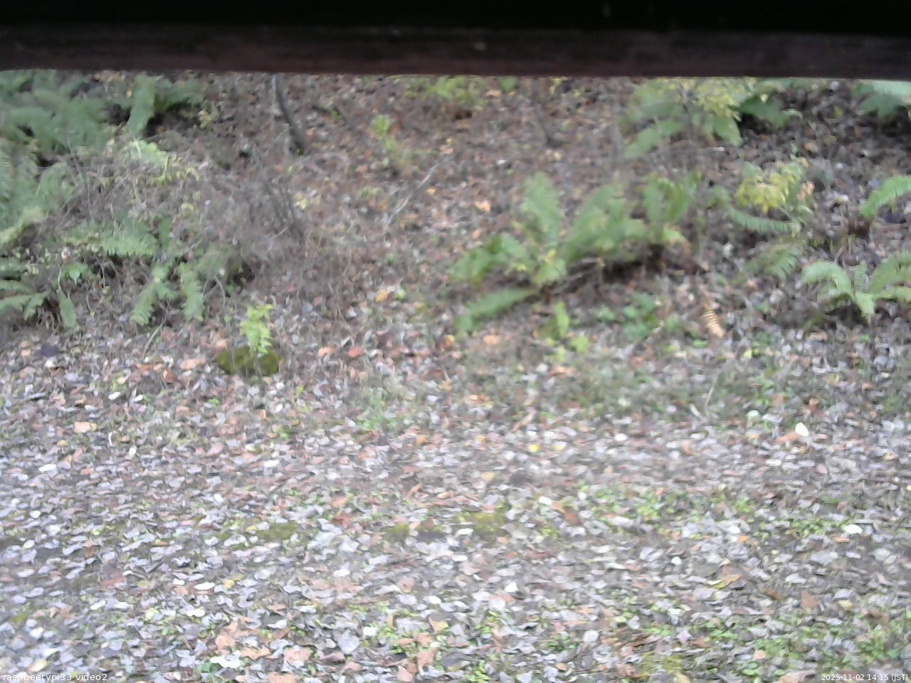 長野県菅平高原 ゆたか山荘 南側 2025/11/02 14:15