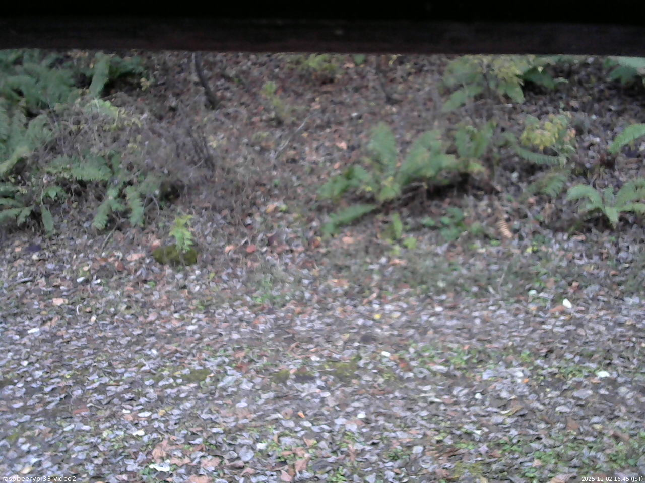 長野県菅平高原 ゆたか山荘 南側 2025/11/02 16:45