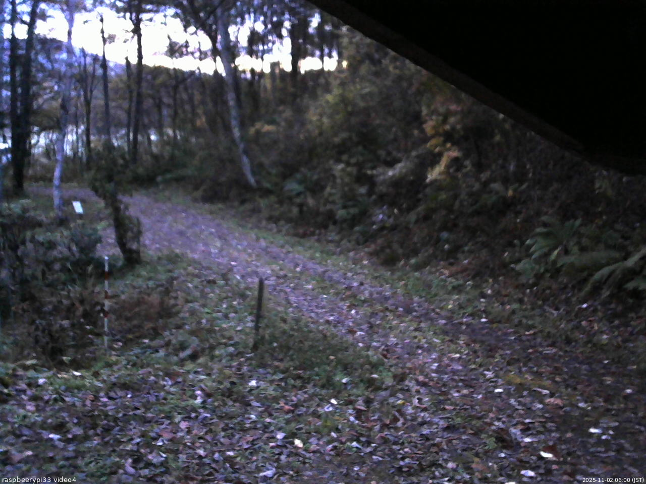 長野県菅平高原 ゆたか山荘 東側(坂下) 2025/11/02 06:00