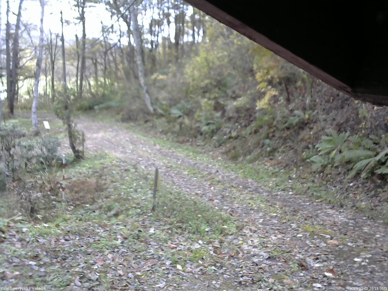 長野県菅平高原 ゆたか山荘 東側(坂下) 2025/11/02 10:15