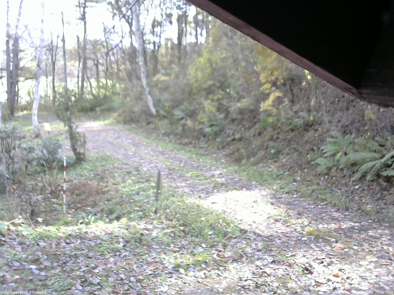 長野県菅平高原 ゆたか山荘 東側(坂下) 2025/11/02 11:00