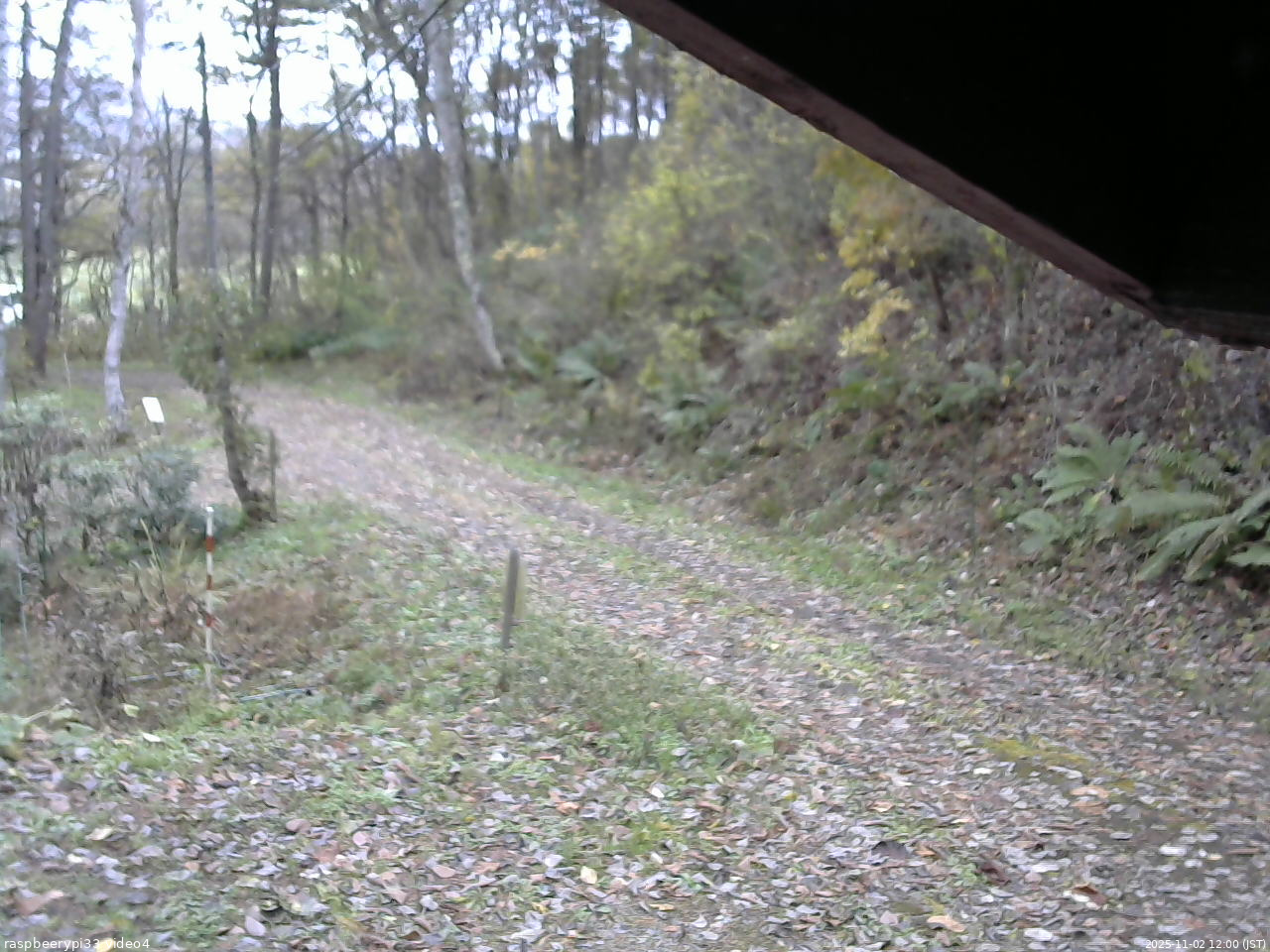 長野県菅平高原 ゆたか山荘 東側(坂下) 2025/11/02 12:00