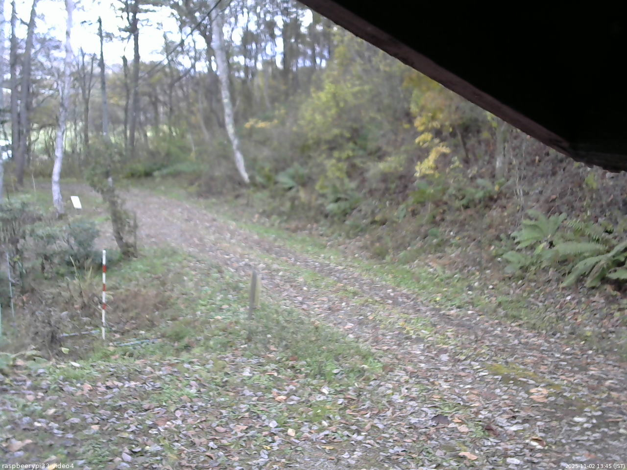 長野県菅平高原 ゆたか山荘 東側(坂下) 2025/11/02 13:45