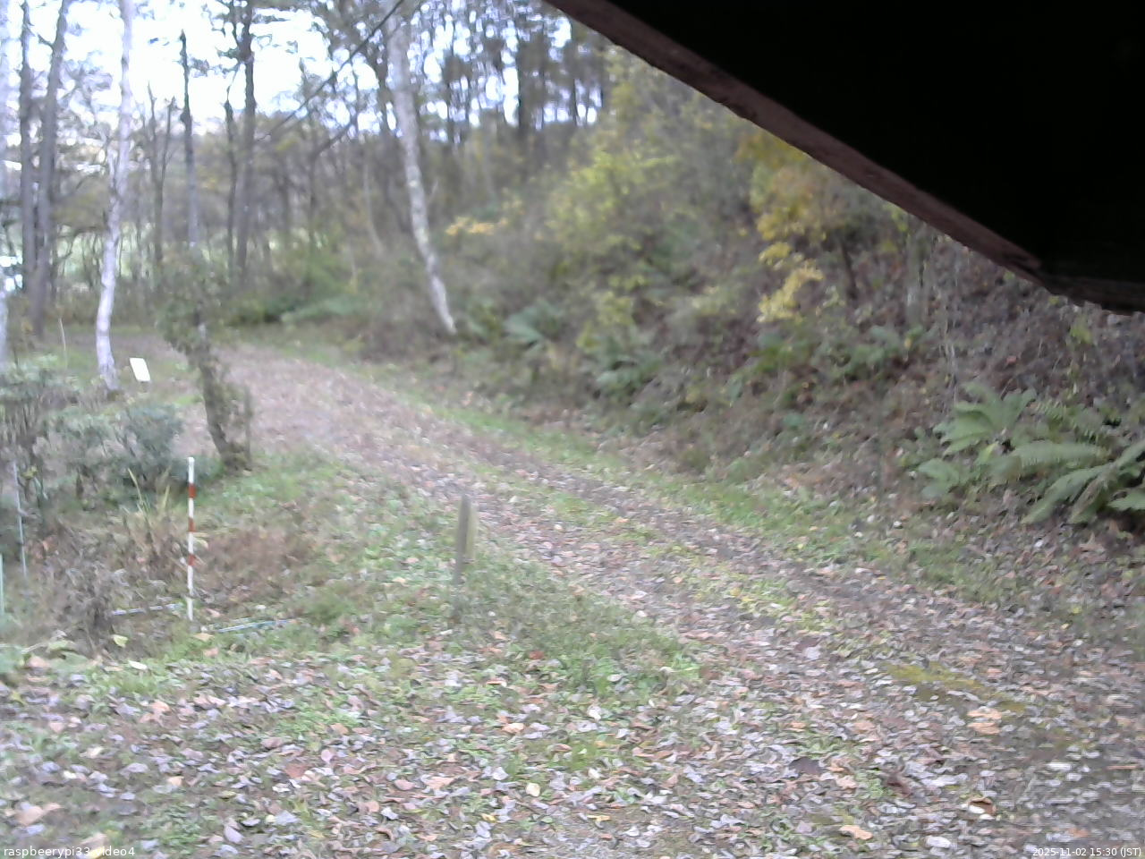 長野県菅平高原 ゆたか山荘 東側(坂下) 2025/11/02 15:30