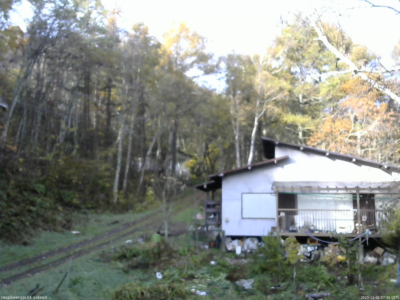 長野県菅平高原 ゆたか山荘 西側(坂上) 2025/11/02 07:45