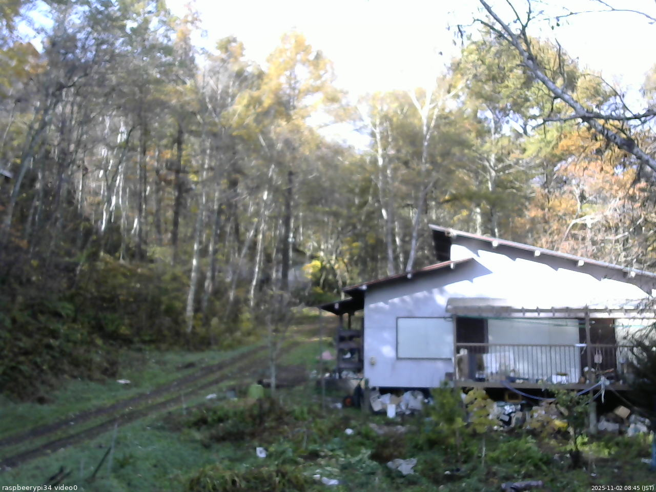 長野県菅平高原 ゆたか山荘 西側(坂上) 2025/11/02 08:45