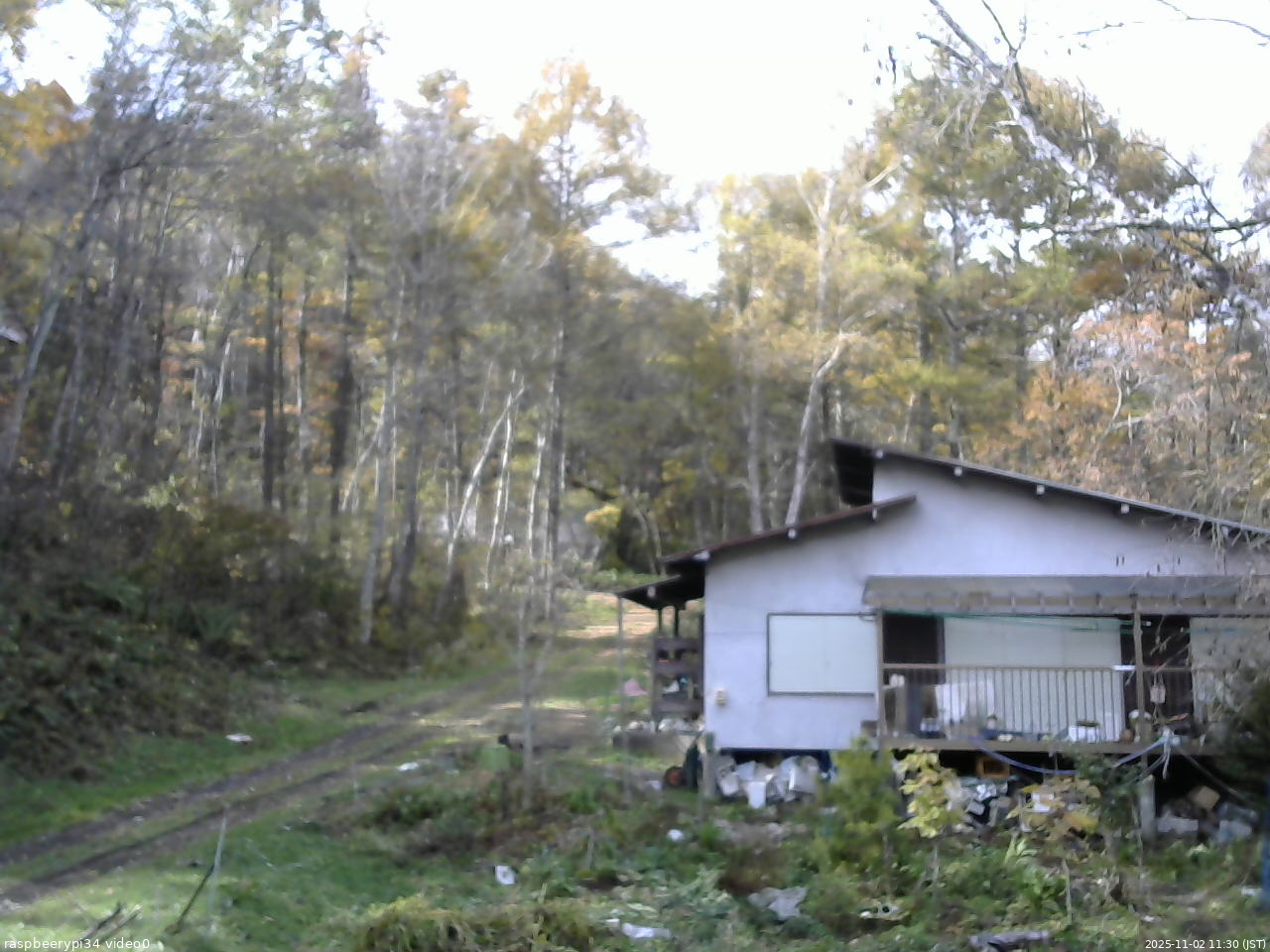 長野県菅平高原 ゆたか山荘 西側(坂上) 2025/11/02 11:30