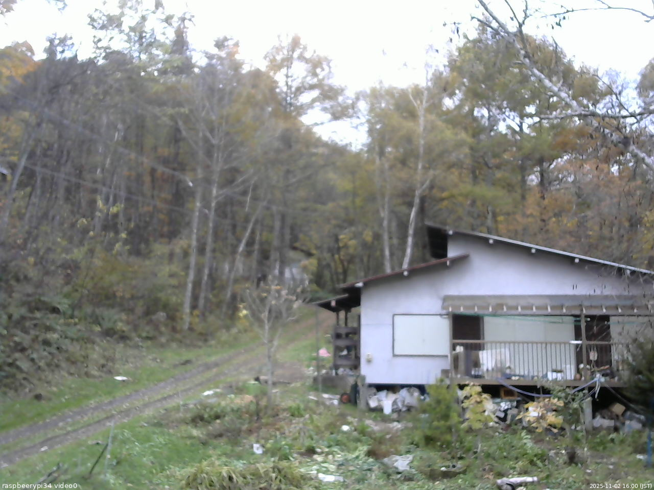 長野県菅平高原 ゆたか山荘 西側(坂上) 2025/11/02 16:00