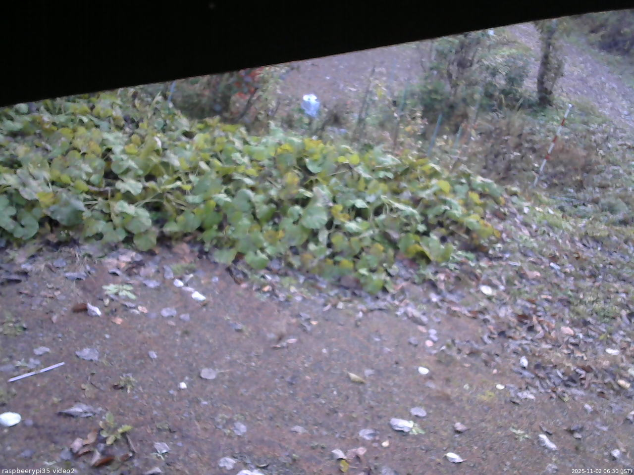 長野県菅平高原 ゆたか山荘 駐車場 2025/11/02 06:30