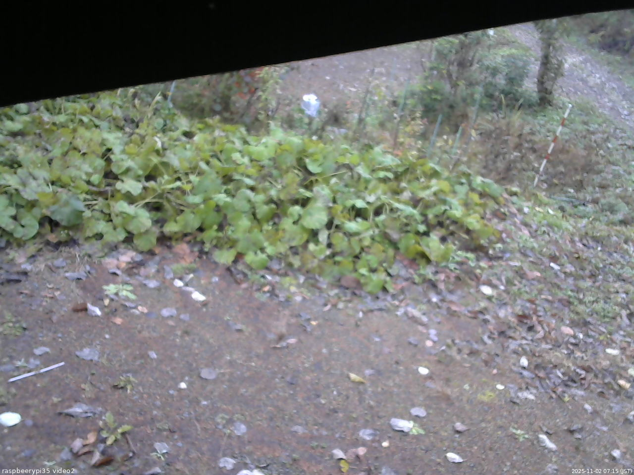 長野県菅平高原 ゆたか山荘 駐車場 2025/11/02 07:15