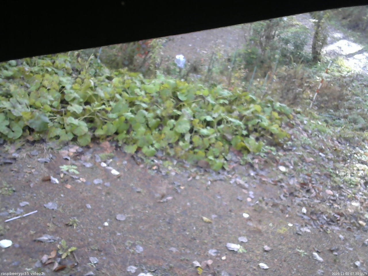 長野県菅平高原 ゆたか山荘 駐車場 2025/11/02 07:30