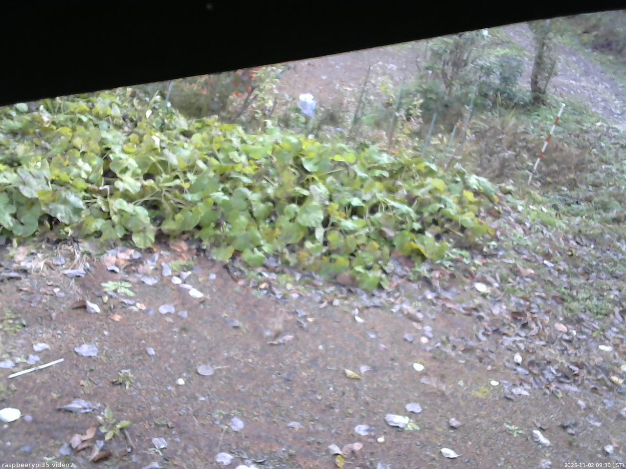 長野県菅平高原 ゆたか山荘 駐車場 2025/11/02 09:30