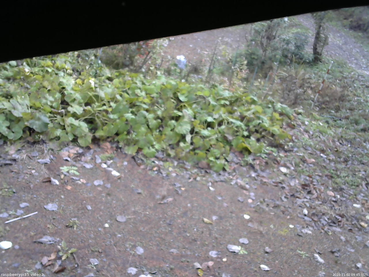 長野県菅平高原 ゆたか山荘 駐車場 2025/11/02 09:45