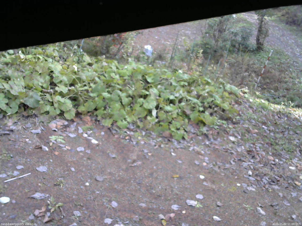 長野県菅平高原 ゆたか山荘 駐車場 2025/11/02 11:00