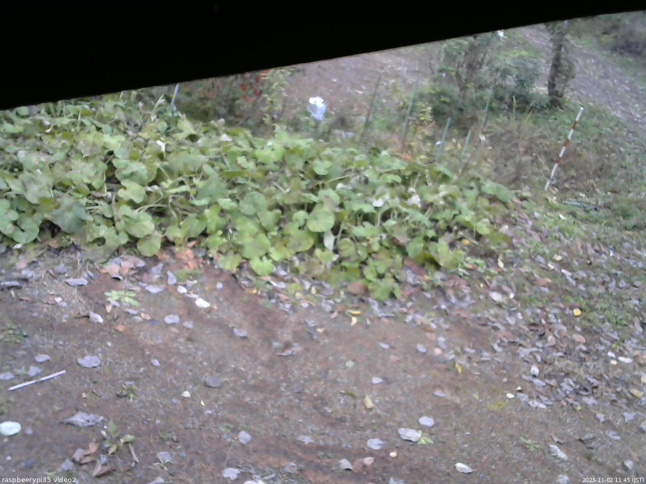 長野県菅平高原 ゆたか山荘 駐車場 2025/11/02 11:45