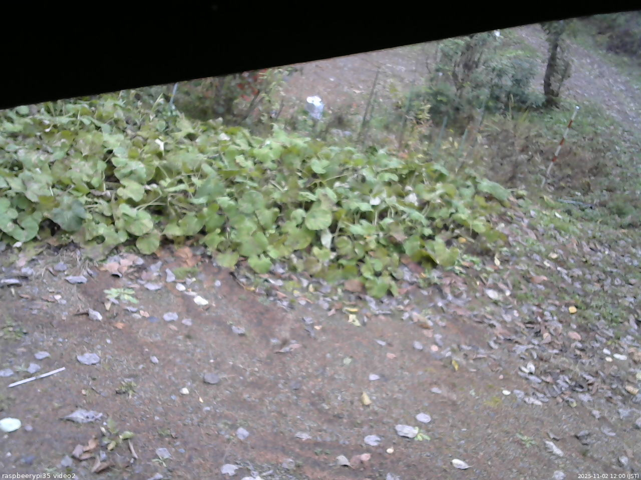 長野県菅平高原 ゆたか山荘 駐車場 2025/11/02 12:00