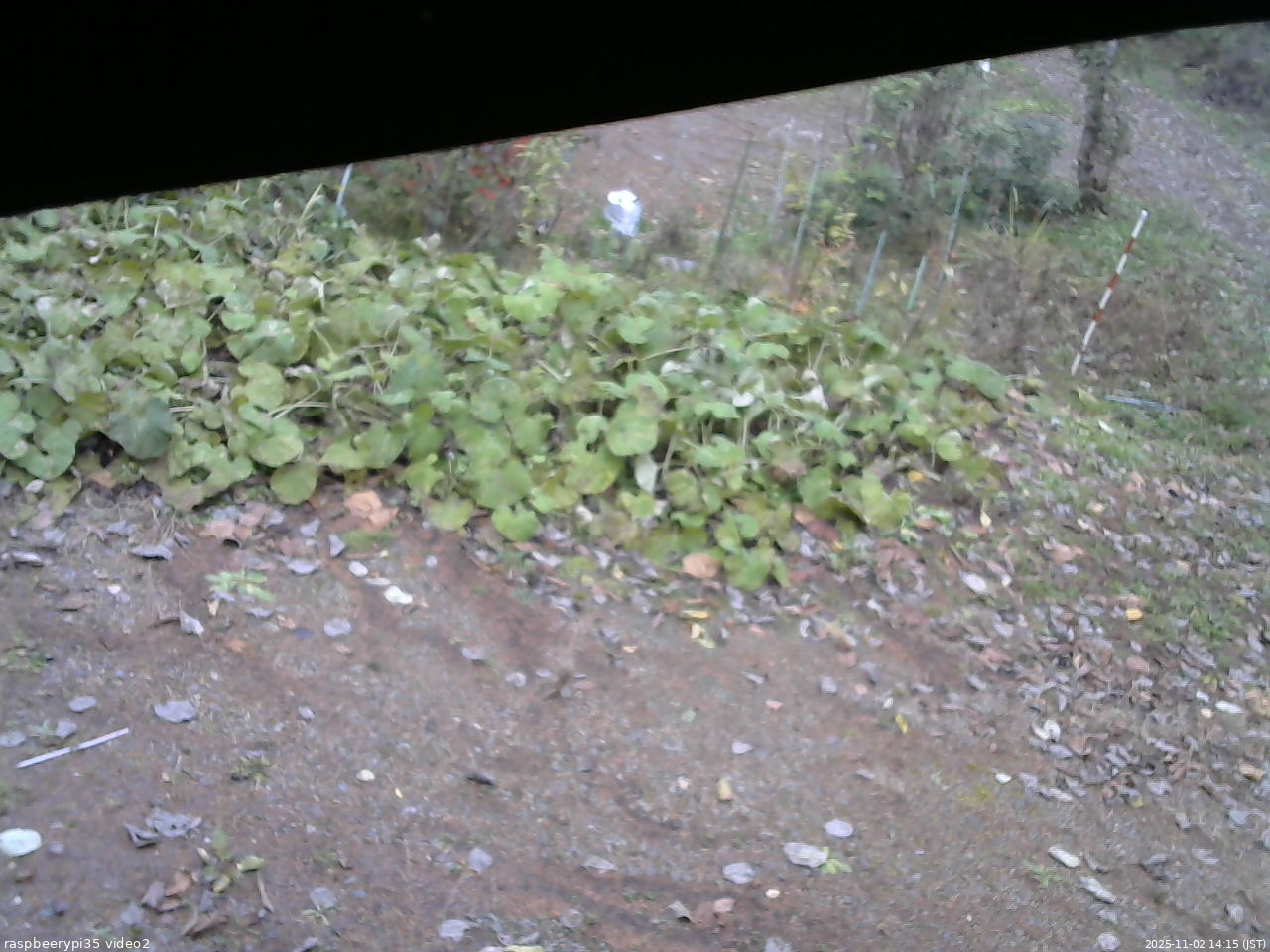 長野県菅平高原 ゆたか山荘 駐車場 2025/11/02 14:15