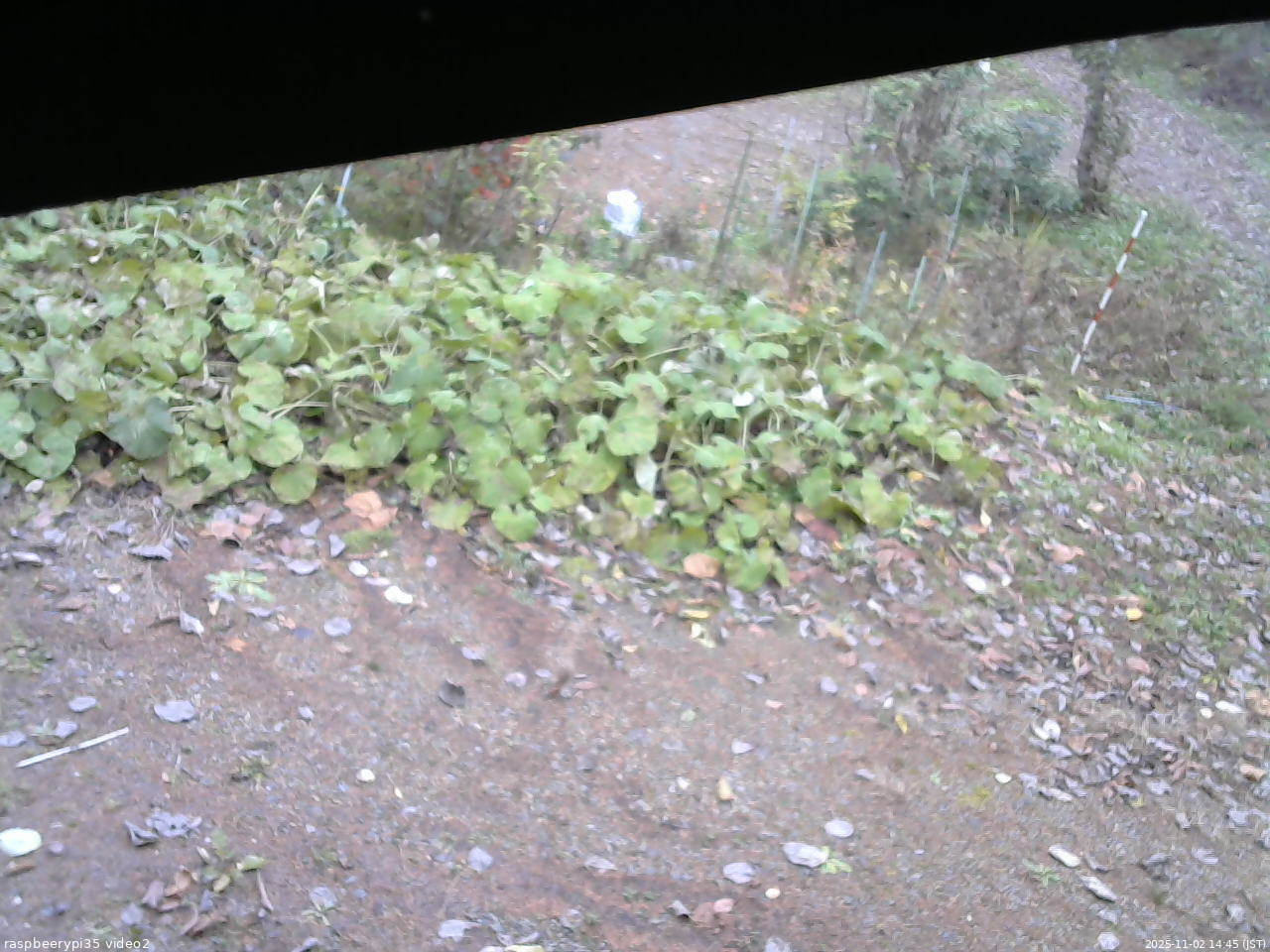 長野県菅平高原 ゆたか山荘 駐車場 2025/11/02 14:45