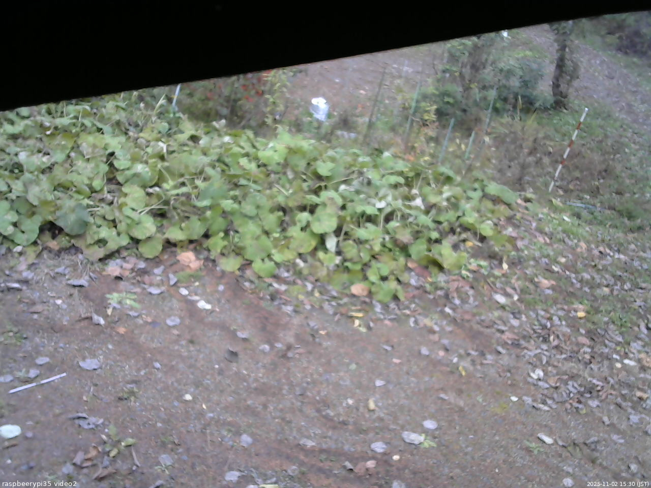 長野県菅平高原 ゆたか山荘 駐車場 2025/11/02 15:30