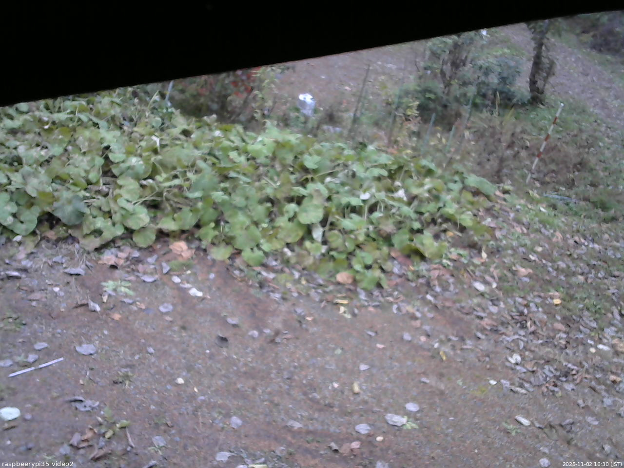 長野県菅平高原 ゆたか山荘 駐車場 2025/11/02 16:30