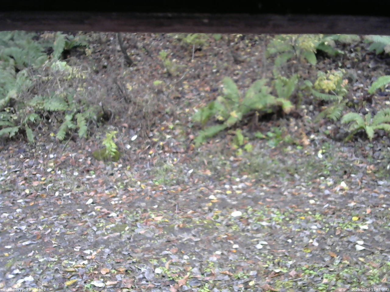 長野県菅平高原 ゆたか山荘 南側 2025/11/03 11:45