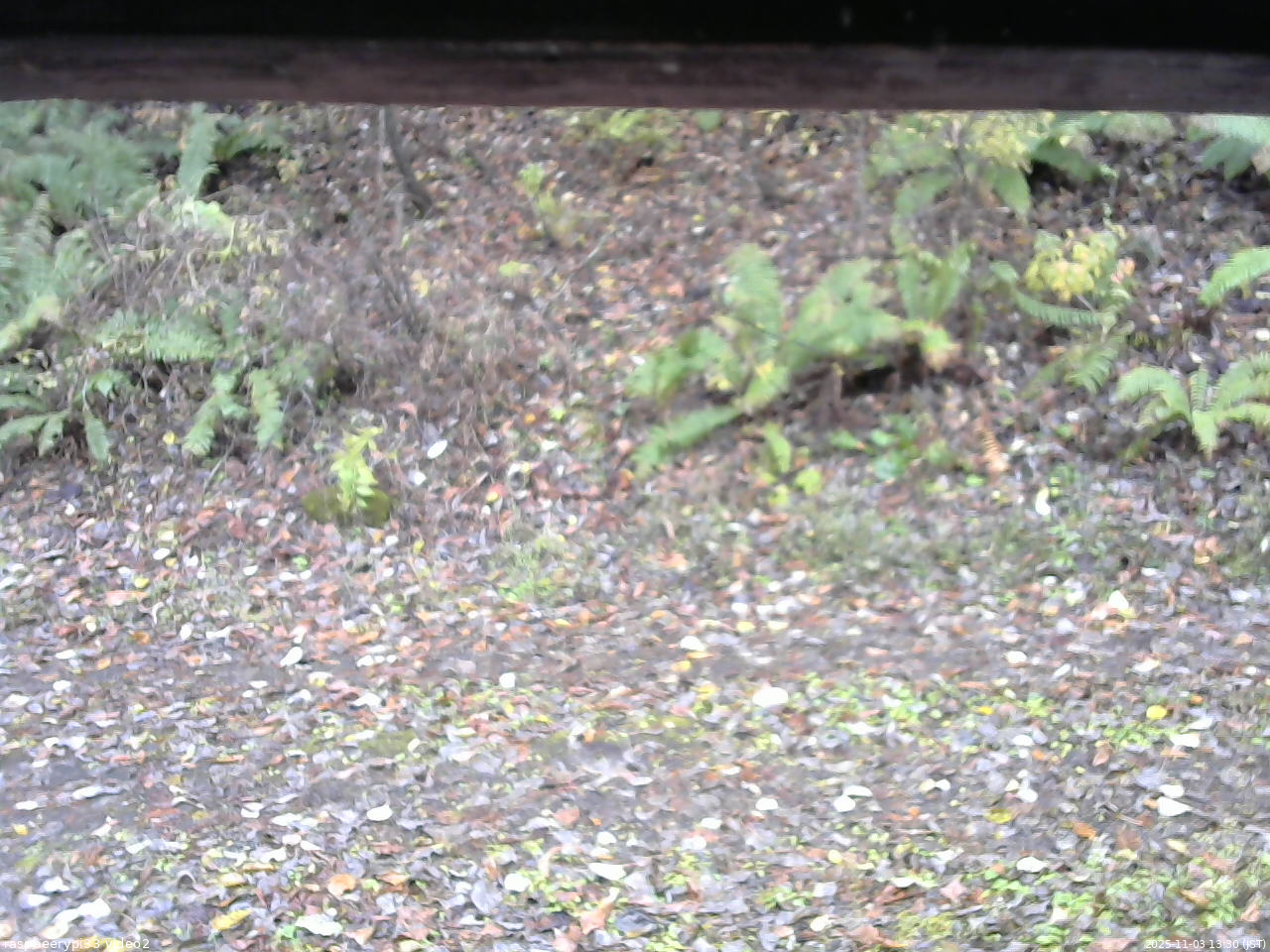 長野県菅平高原 ゆたか山荘 南側 2025/11/03 13:30