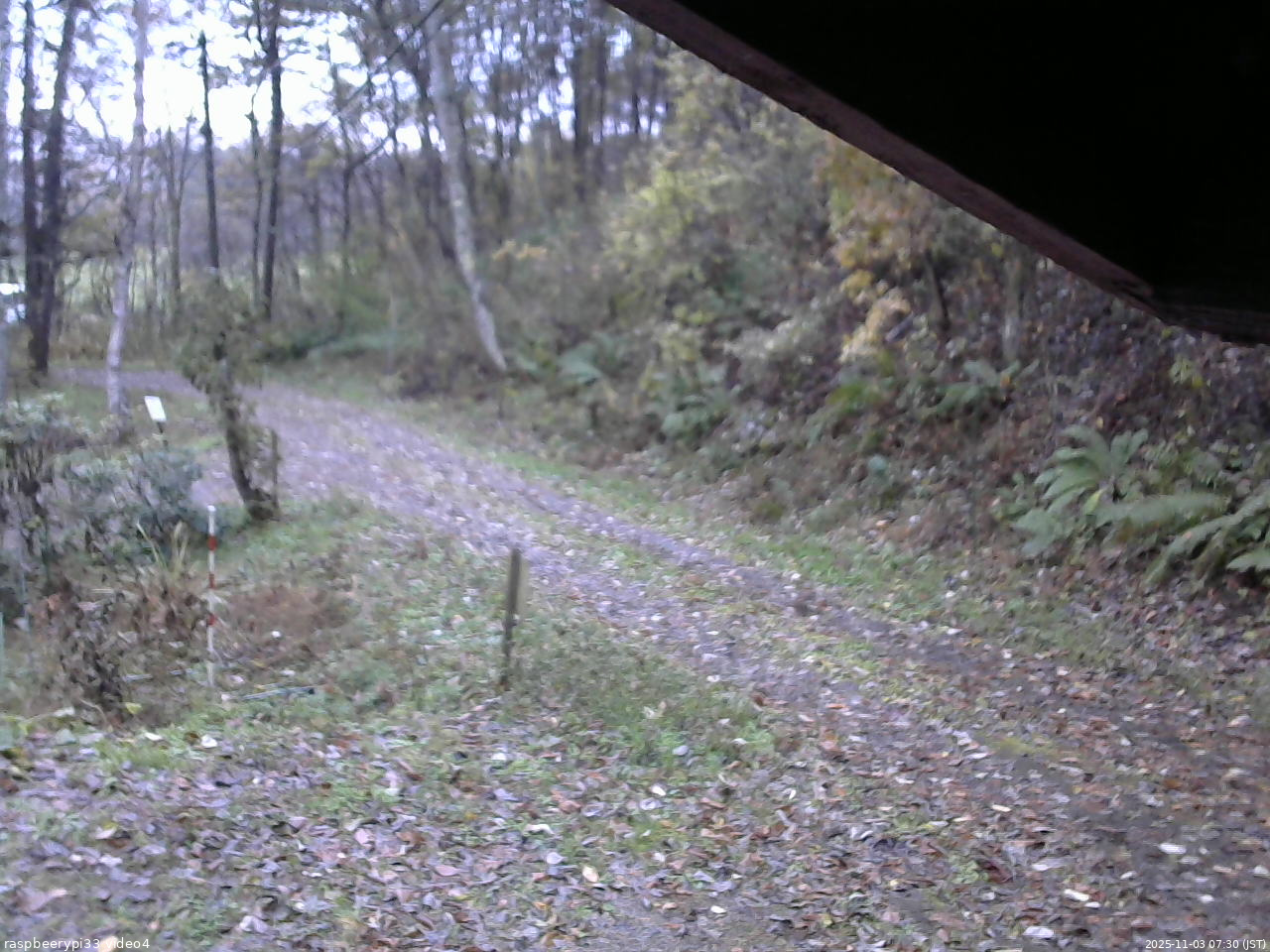 長野県菅平高原 ゆたか山荘 東側(坂下) 2025/11/03 07:30