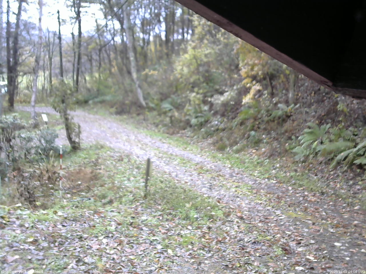 長野県菅平高原 ゆたか山荘 東側(坂下) 2025/11/03 08:00