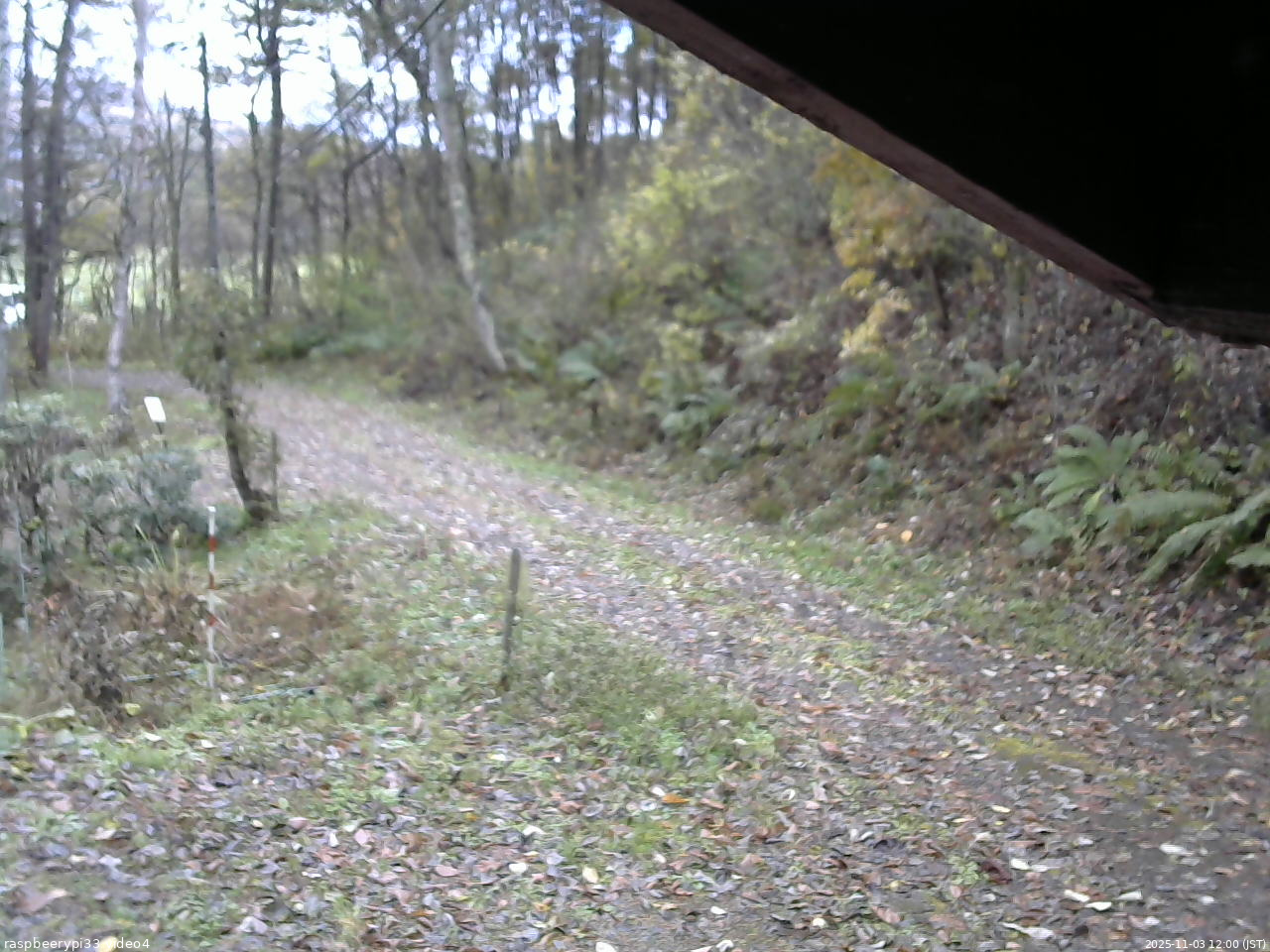 長野県菅平高原 ゆたか山荘 東側(坂下) 2025/11/03 12:00