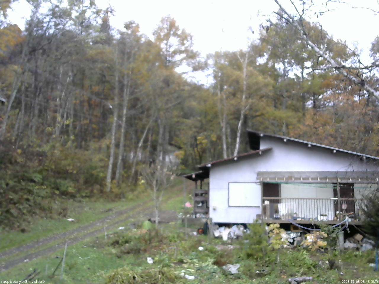 長野県菅平高原 ゆたか山荘 西側(坂上) 2025/11/03 08:45