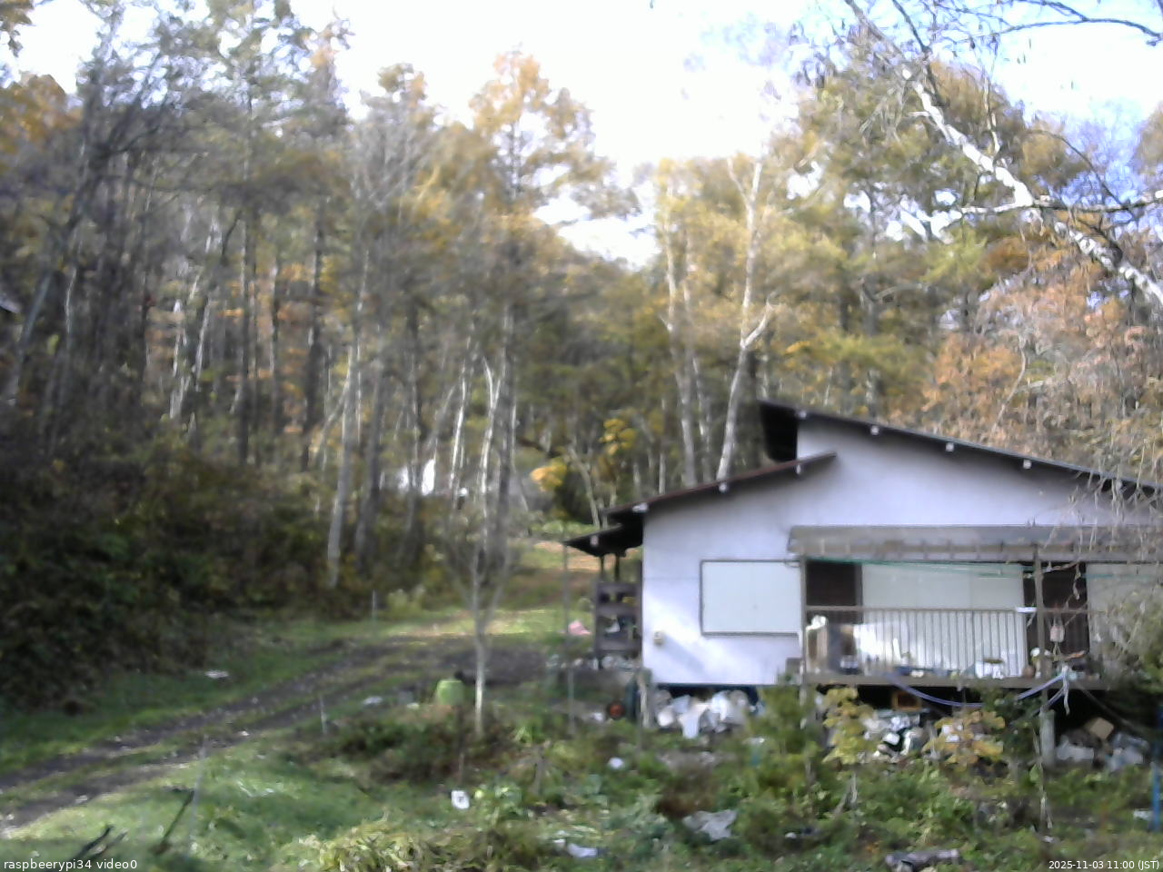 長野県菅平高原 ゆたか山荘 西側(坂上) 2025/11/03 11:00