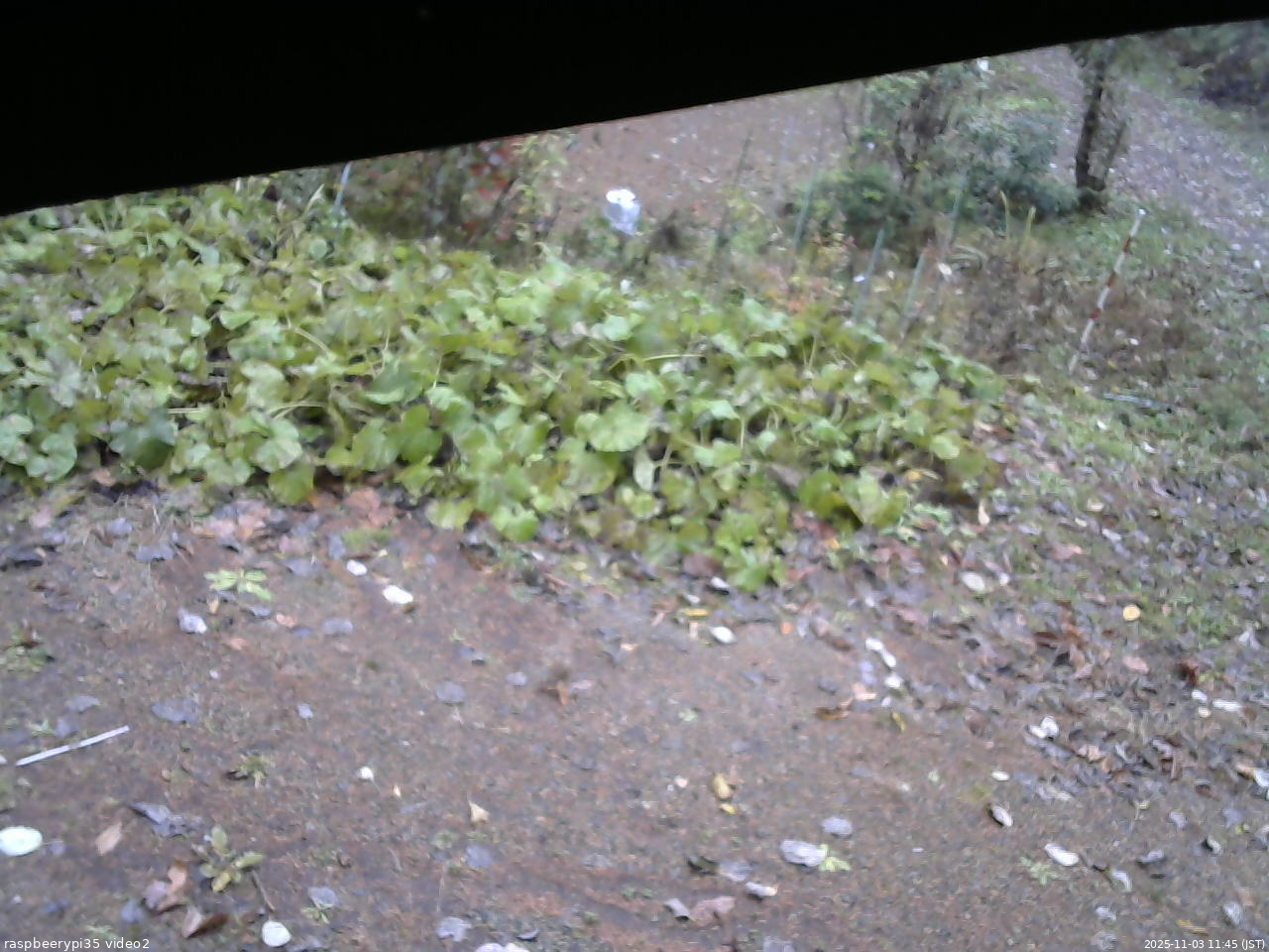長野県菅平高原 ゆたか山荘 駐車場 2025/11/03 11:45