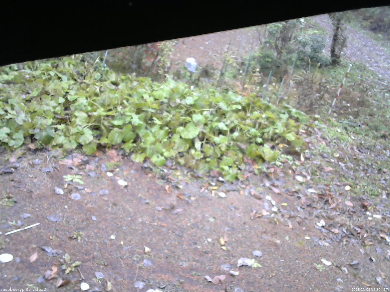 長野県菅平高原 ゆたか山荘 駐車場 2025/11/03 14:30