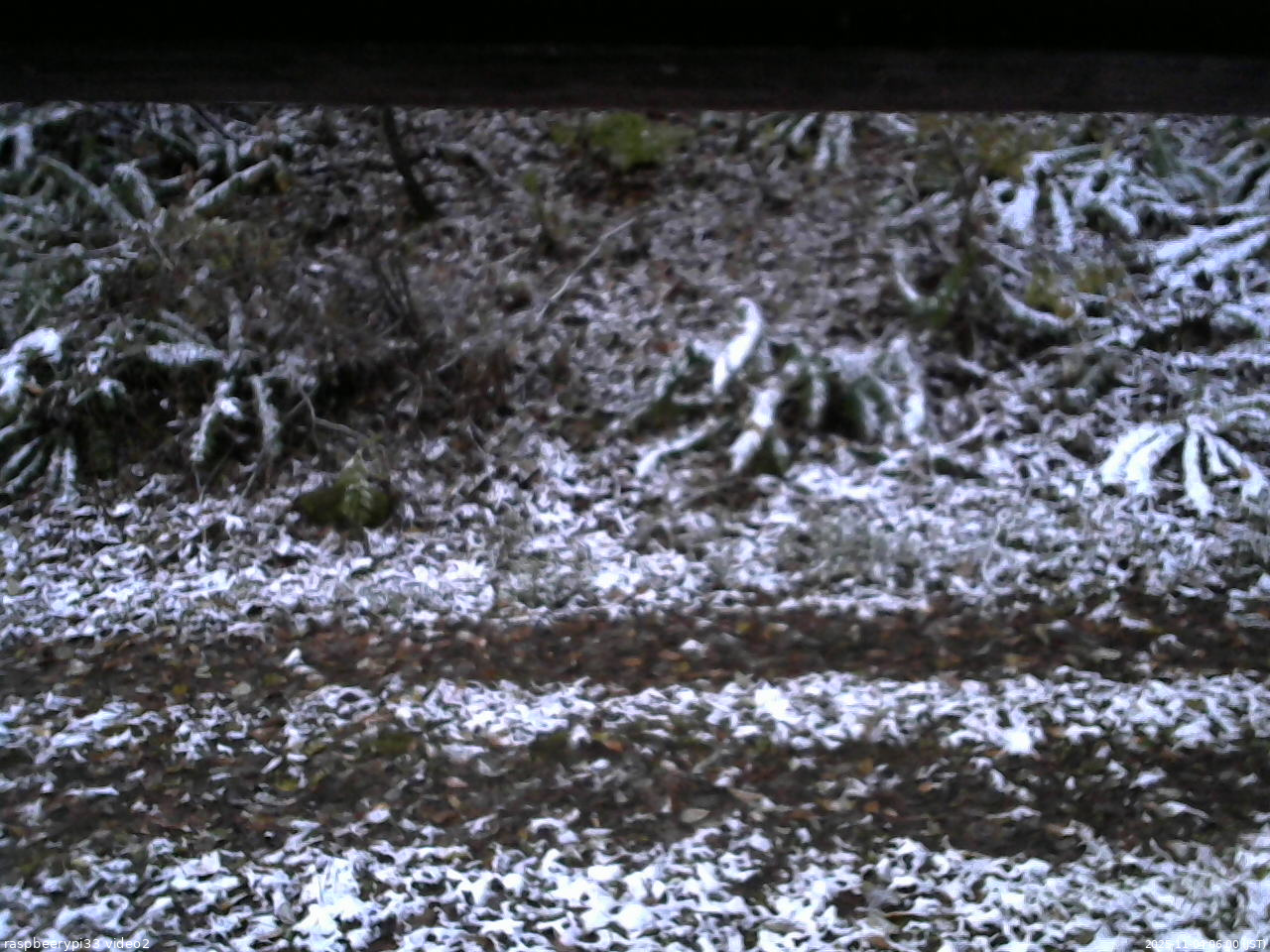長野県菅平高原 ゆたか山荘 南側 2025/11/04 06:00