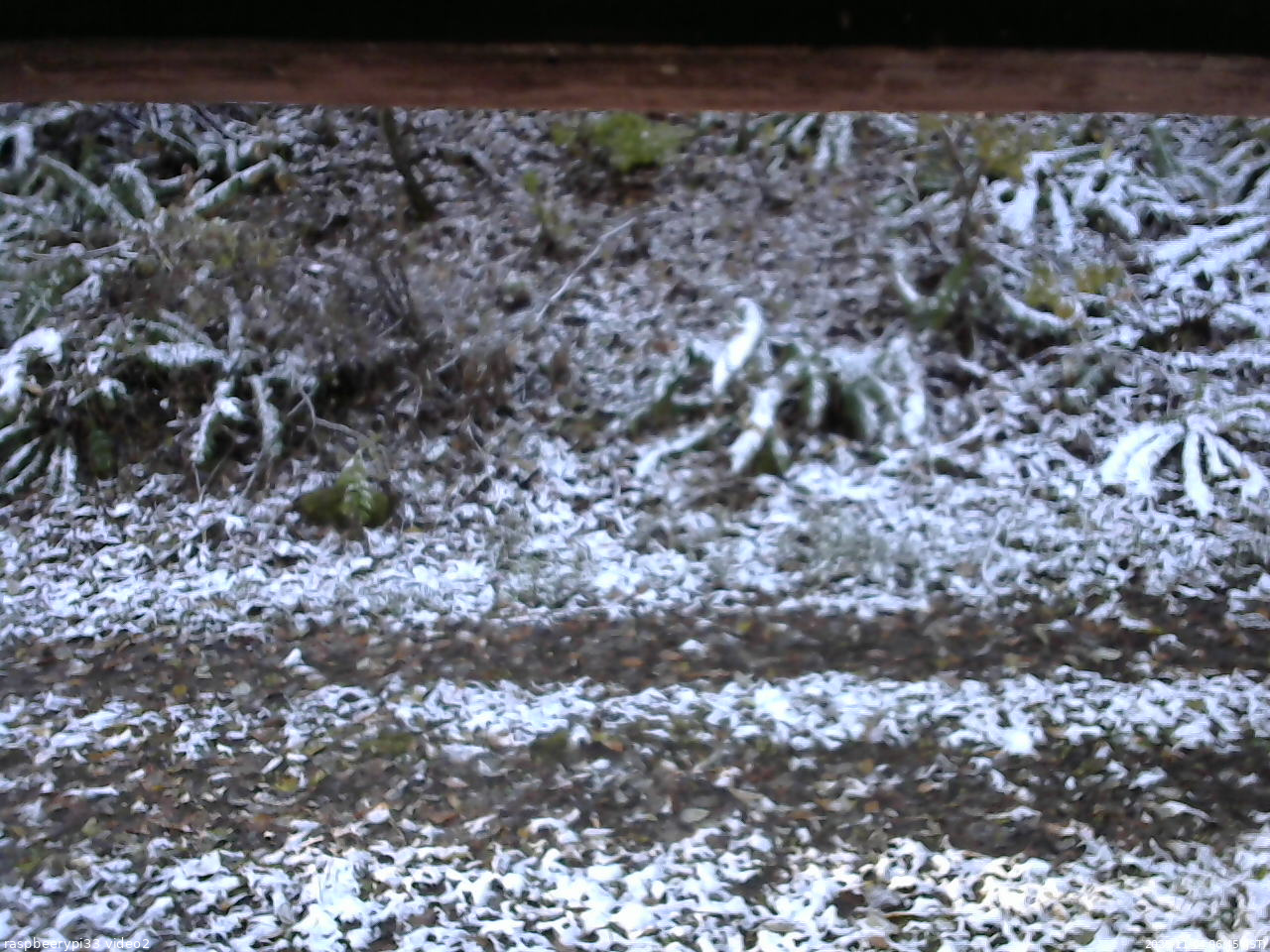 長野県菅平高原 ゆたか山荘 南側 2025/11/04 06:45
