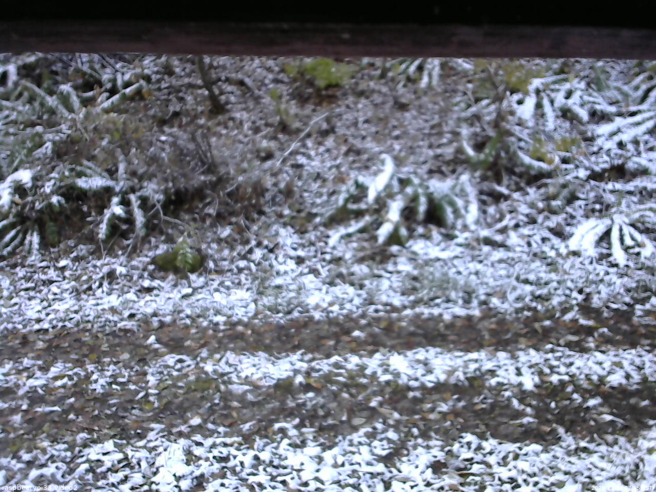 長野県菅平高原 ゆたか山荘 南側 2025/11/04 07:15