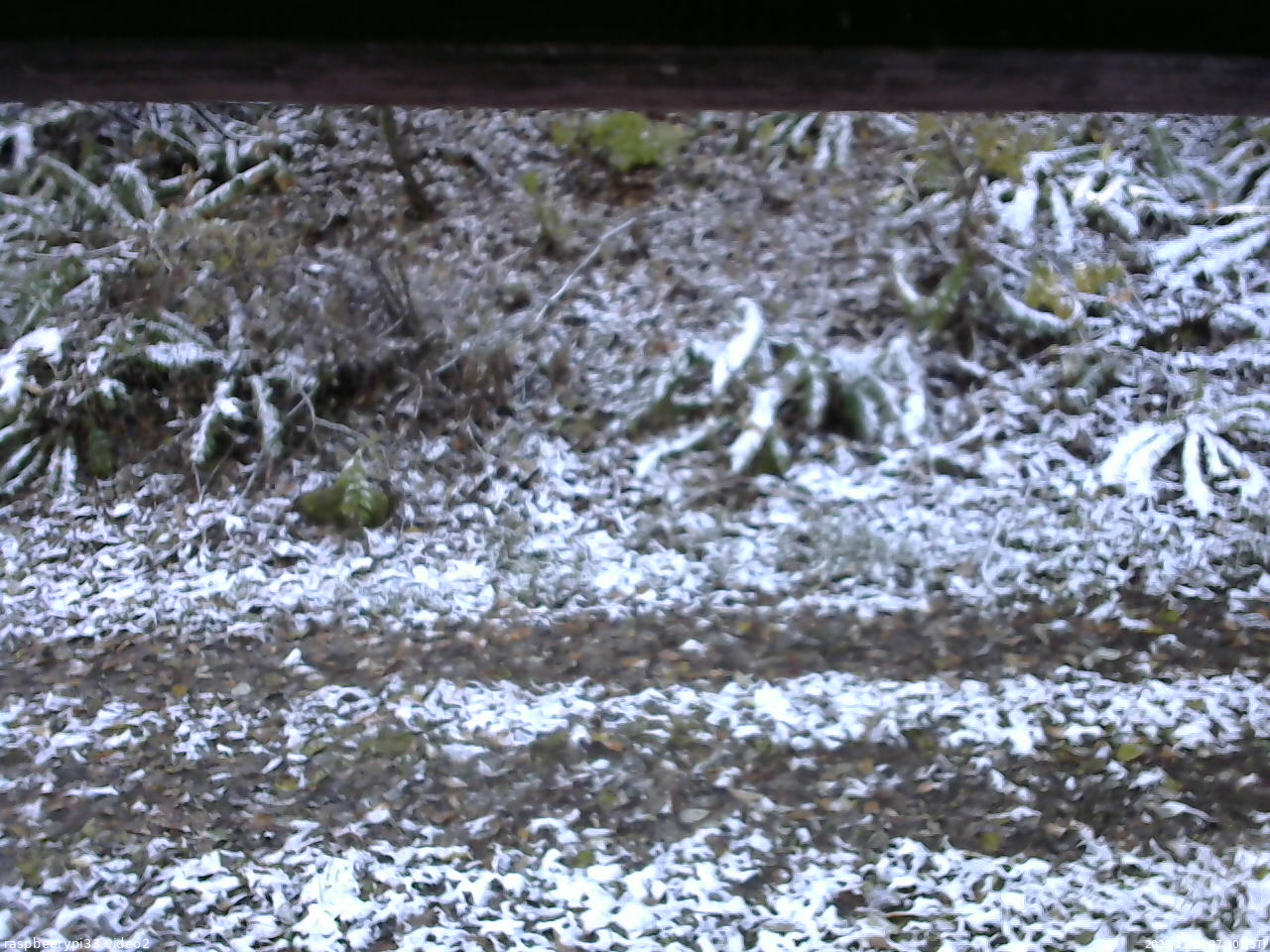 長野県菅平高原 ゆたか山荘 南側 2025/11/04 07:30