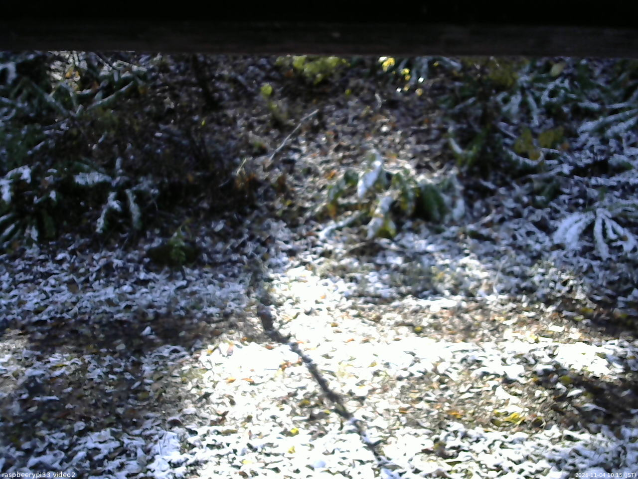 長野県菅平高原 ゆたか山荘 南側 2025/11/04 10:15