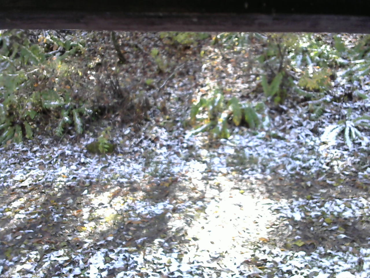 長野県菅平高原 ゆたか山荘 南側 2025/11/04 11:45