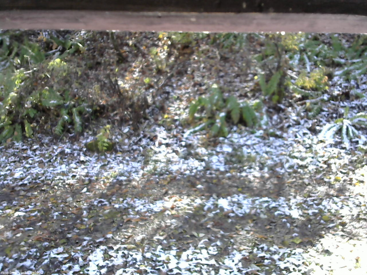 長野県菅平高原 ゆたか山荘 南側 2025/11/04 12:00