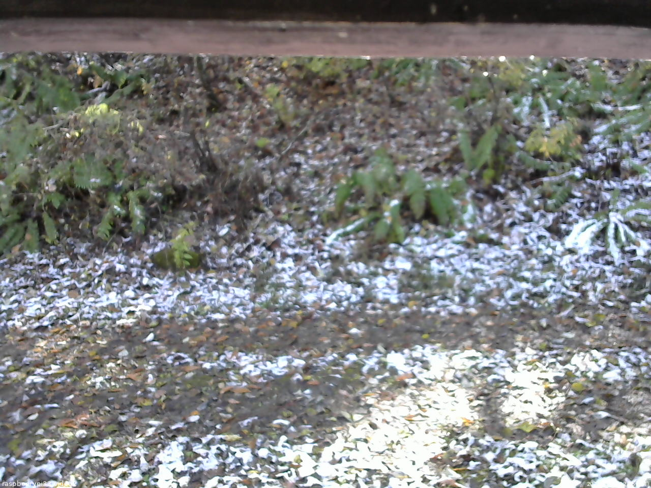 長野県菅平高原 ゆたか山荘 南側 2025/11/04 12:15