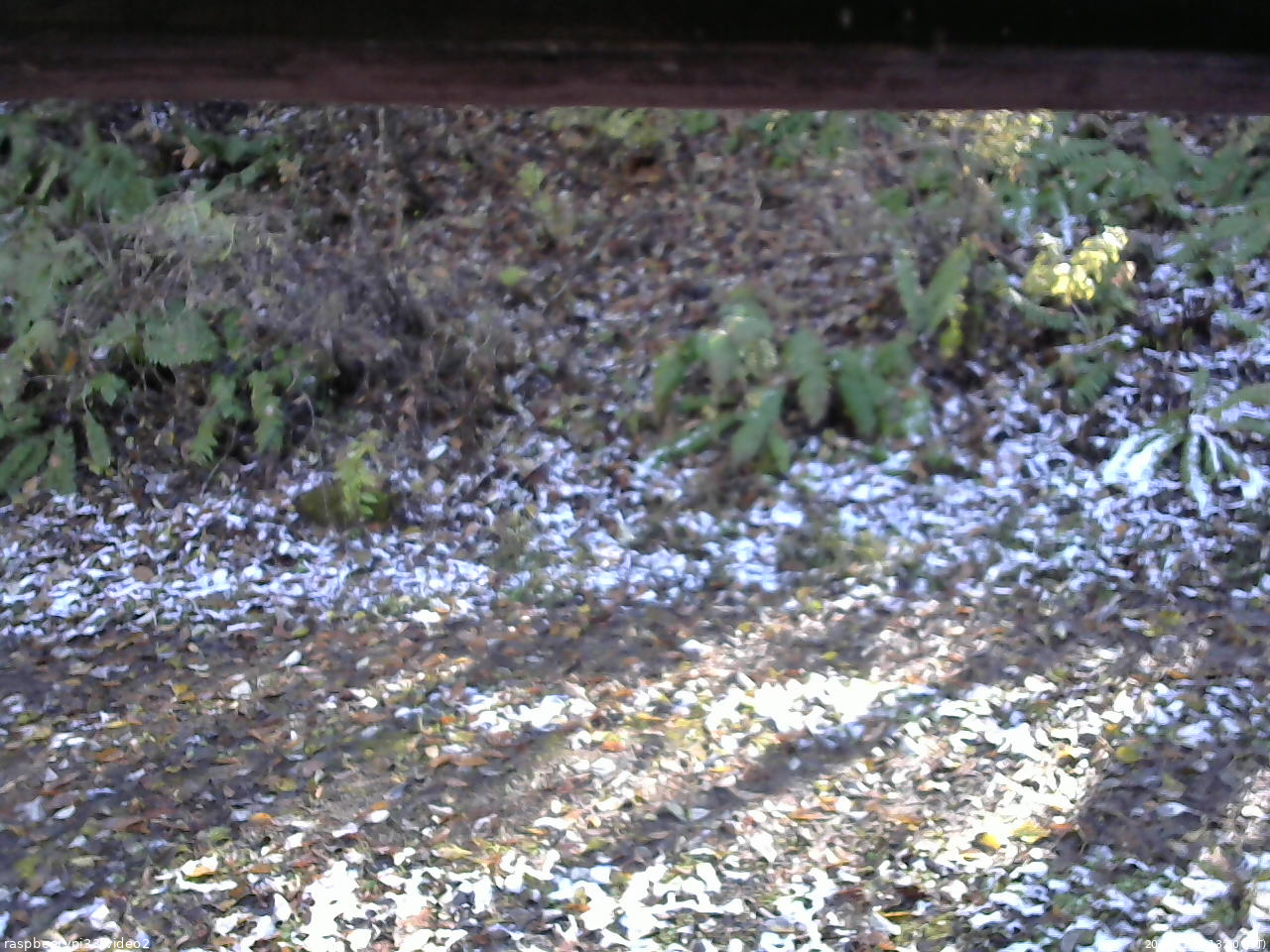 長野県菅平高原 ゆたか山荘 南側 2025/11/04 13:30