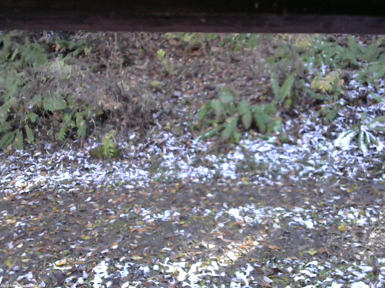 長野県菅平高原 ゆたか山荘 南側 2025/11/04 13:45